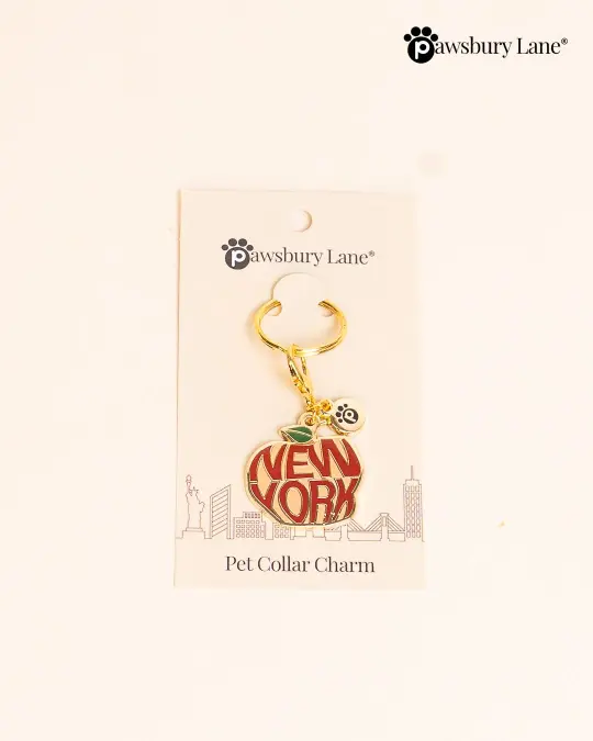 Pet Collar Charm - Big Apple
