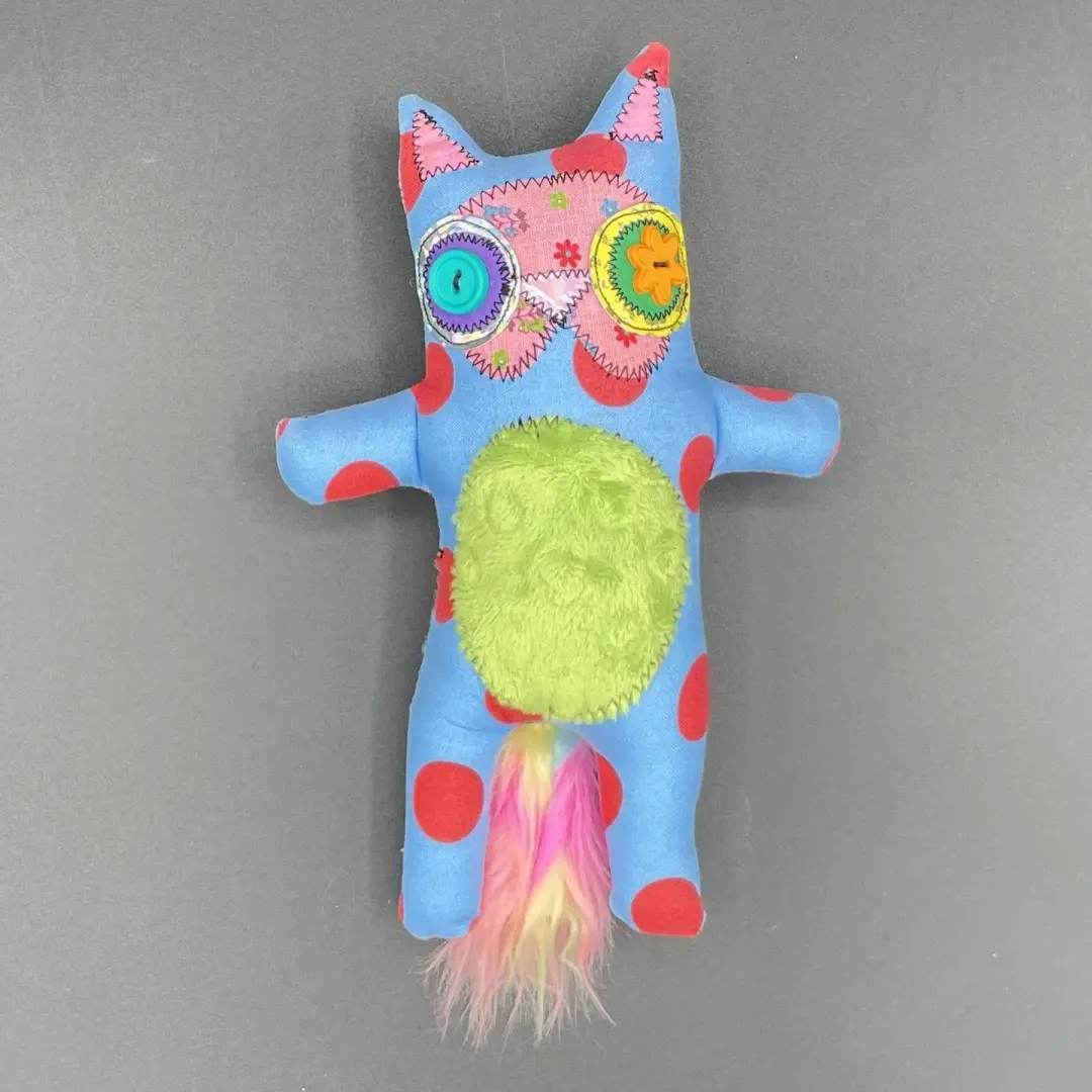 Blueberry - A Purrfectly Loveable Compact Cat