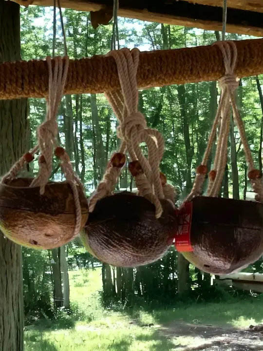 Coconut planters