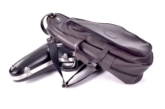 Walt Johnson Case Cover - Alto