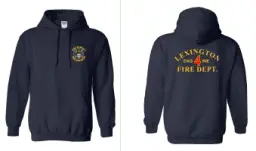 LFD4 18500 Gildan Hoodie