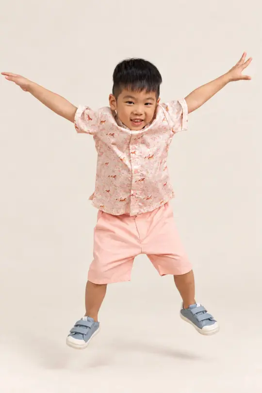 Little Man Shirt - Meadow Horses