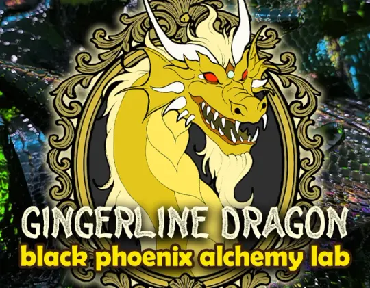 Gingerline Dragon Perfume Oil