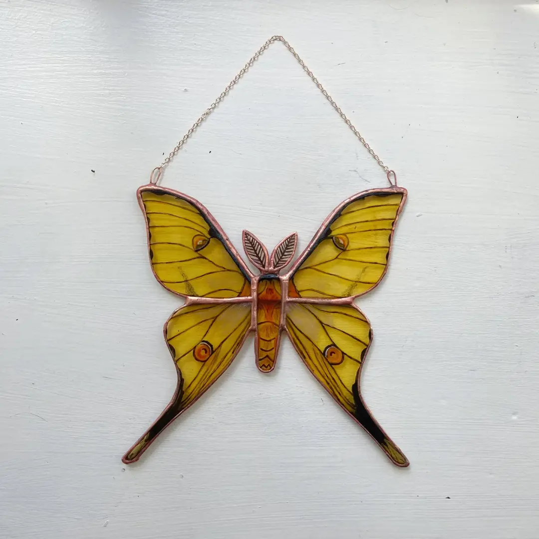 African Moon Moth