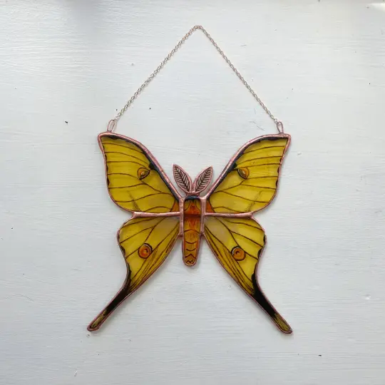 African Moon Moth