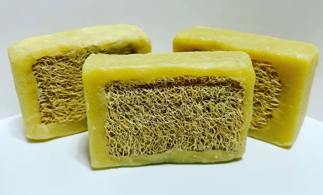 1493 LUFFA BAR