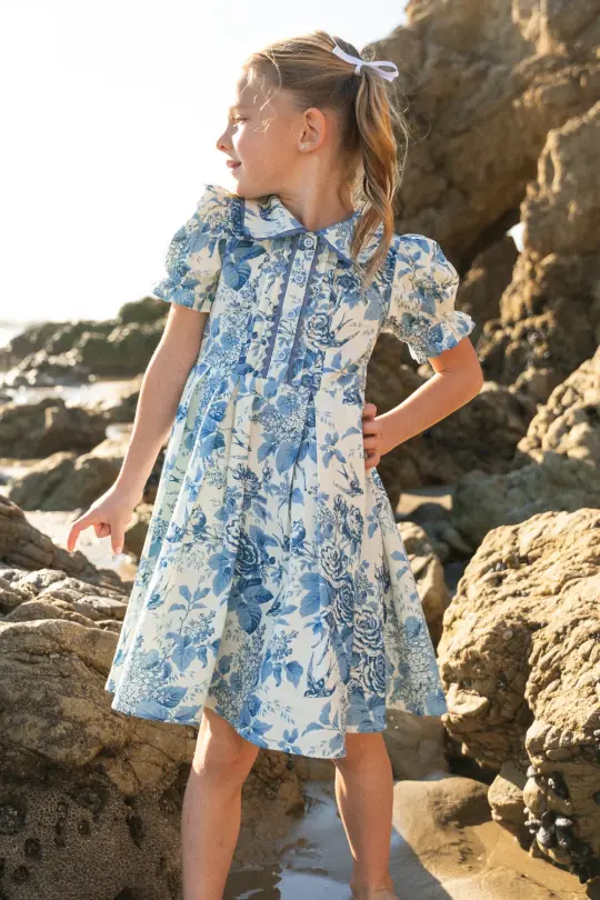 Mini Sophia Dress in Blue Floral