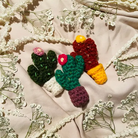 Cacti