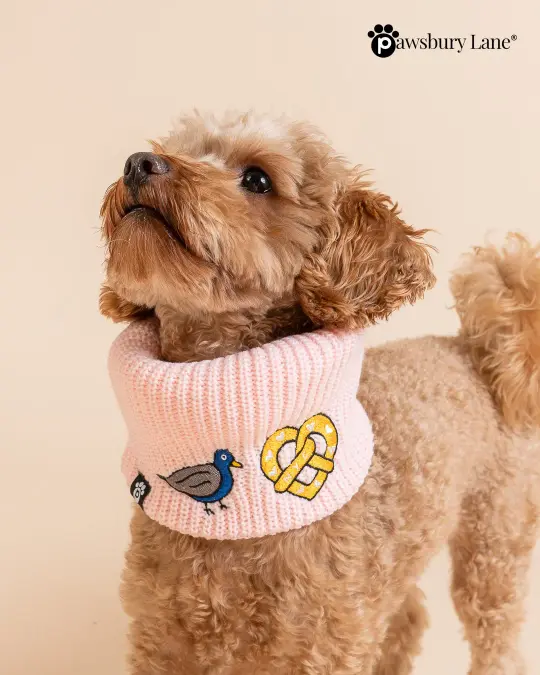 NYC Embroidered Knit Dog Snood – Pigeon & Pretzel (Pink)