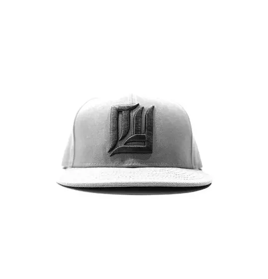 2520 X NEW ERA NEW NEW YORK (3D) 9FIFTY SNAPBACK  - GRAY