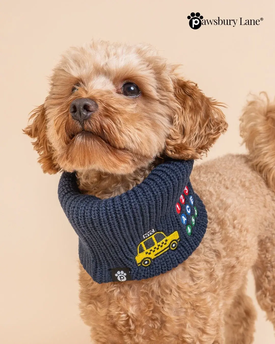 NYC Embroidered Knit Dog Snood – Taxi and Subway (Blue)