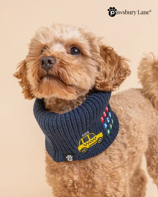 NYC Embroidered Knit Dog Snood – Taxi and Subway (Blue)
