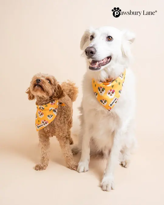 Skulls and Wildflowers - Bandana