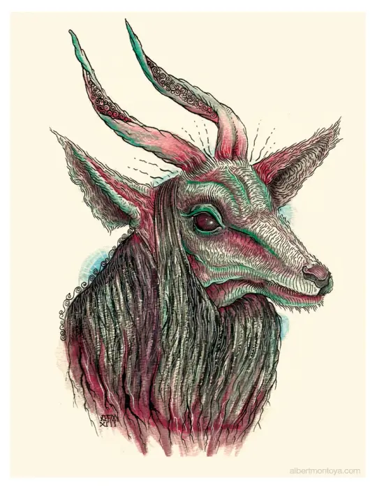 Print "Ovis"