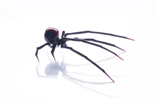 Black Widow Glass Spider Figurine With Red Tips – Handmade Art