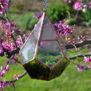 Teardrop Terrarium Kit, medium hinged