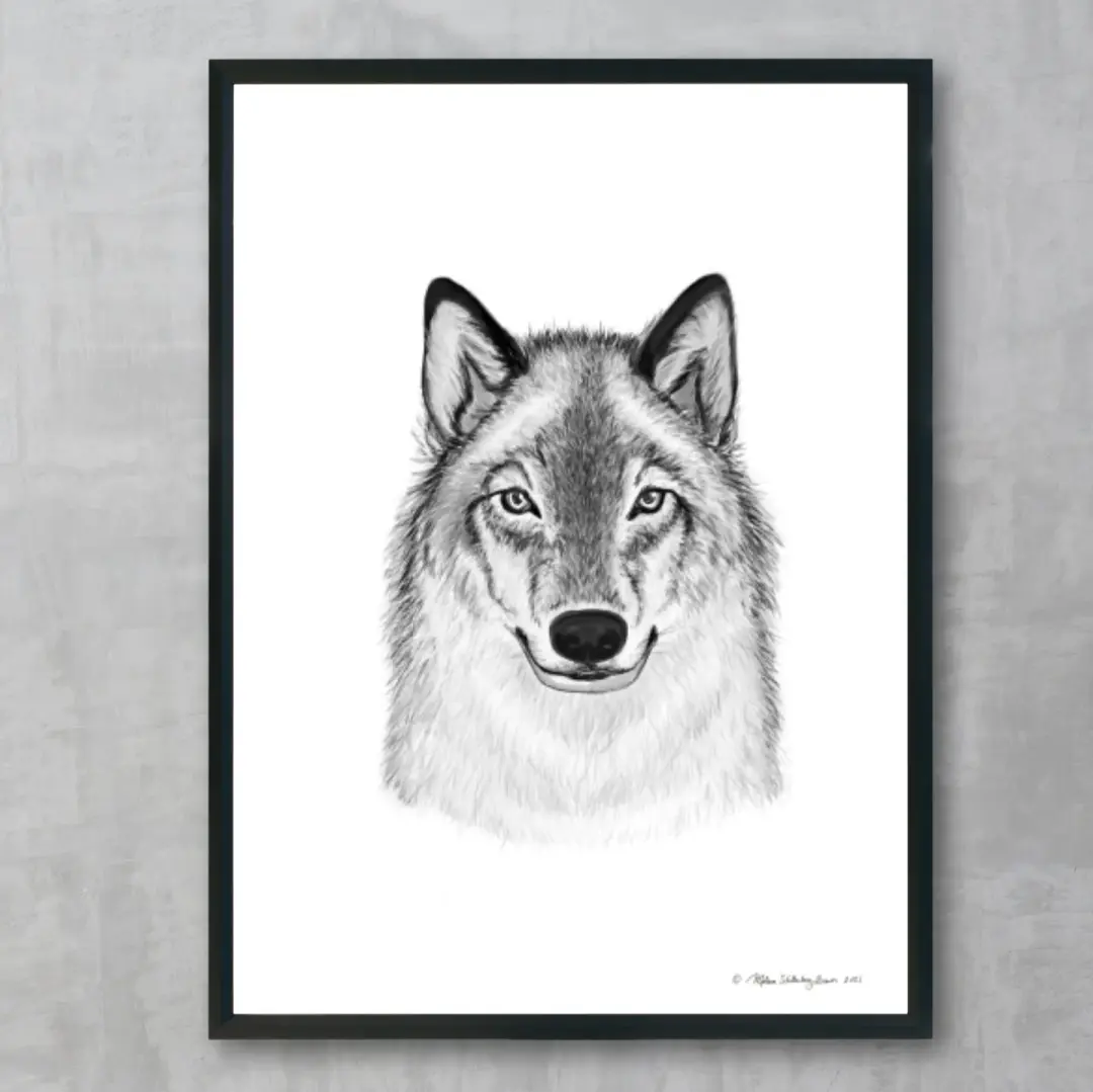 Timberwolf Fine Art Print, Wholesale