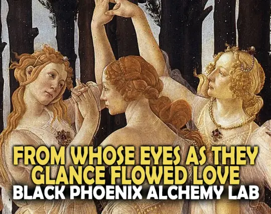 From Whose Eyes As They Glance Flowed Love Perfume Oil
