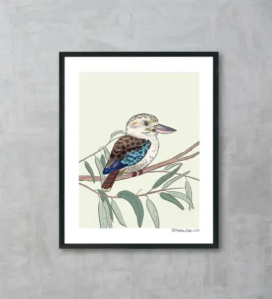 Kookaburra Bird Fine Art Print
