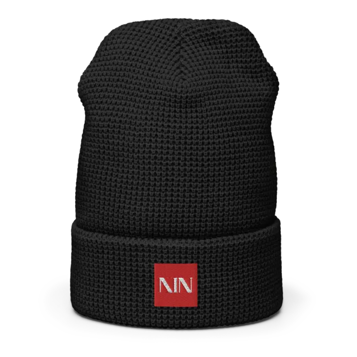AIN Embroidered Waffle beanie