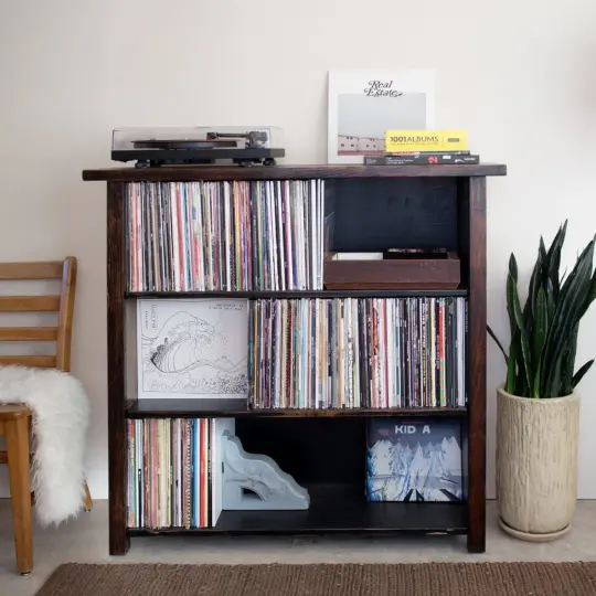 Turntable & Vinyl Record Cabinet