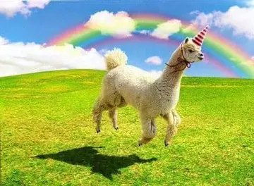 Avanti Alpaca Greeting Card - Alpaca Unicorn - Birthday