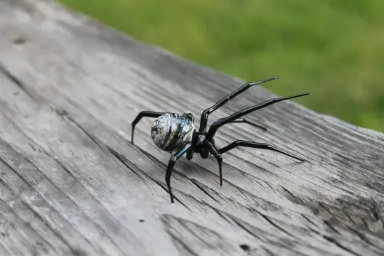 Murano Glass Spider With Marble Abdomen, 2-Inch Handmade Figurine
