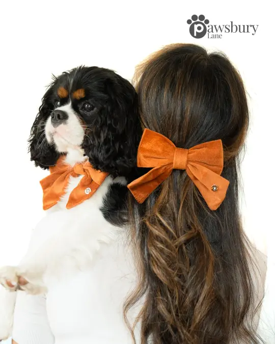 Classic Velvet - Cinnamon - Human Bow Barrette