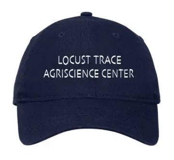LTAS-NE201 New Era Cap