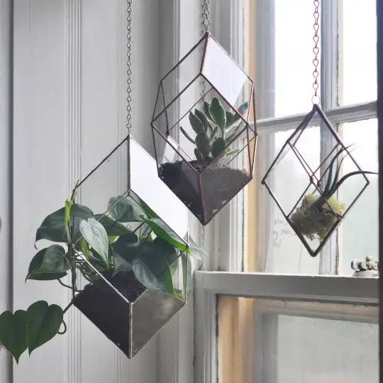 Iridis Terrarium - small, medium, large