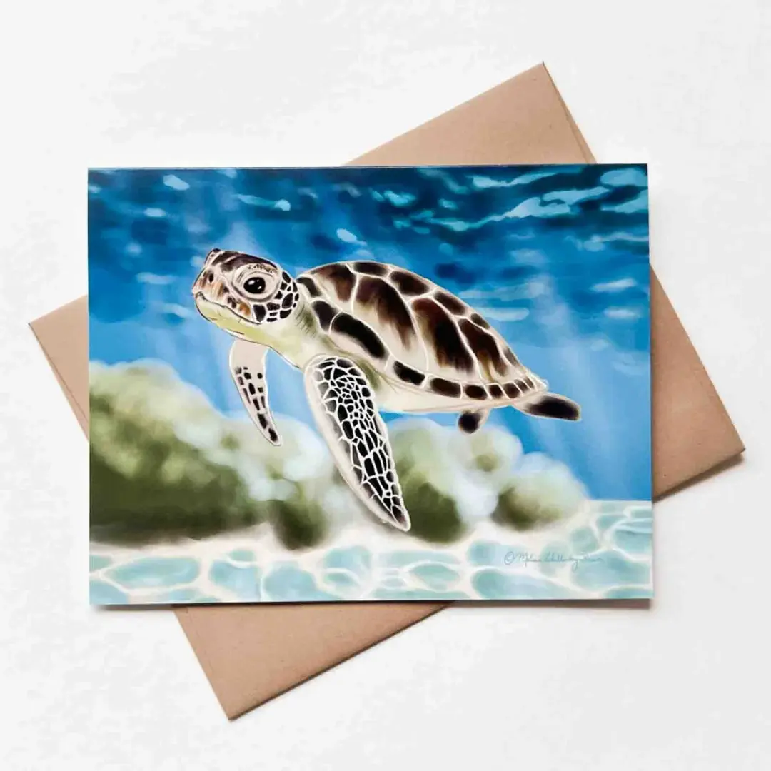 Sea Turtle Greeting Card, Wholesale 6 Pack