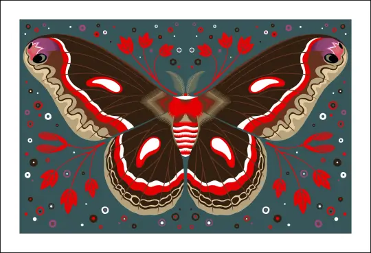 Cecropia Moth Print