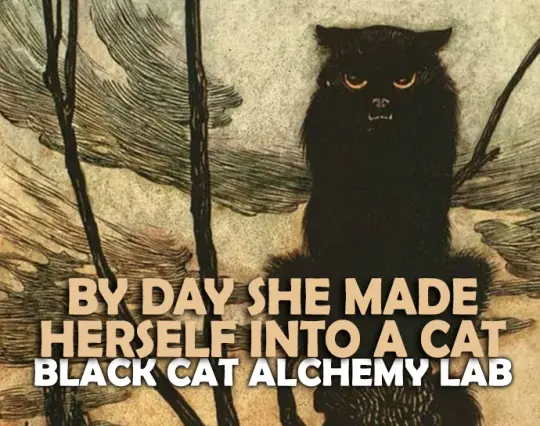 By Day She Made Herself into a Cat Perfume Oil