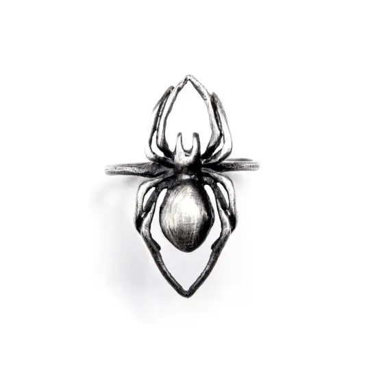 Eternal Weaver. Small Spider Ring.