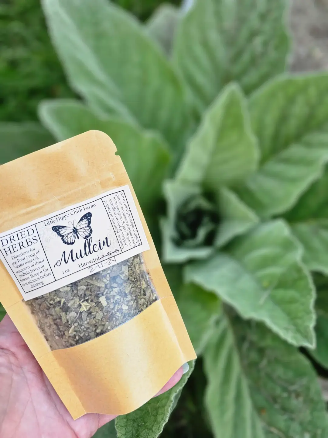 Dried Mullein Leaf