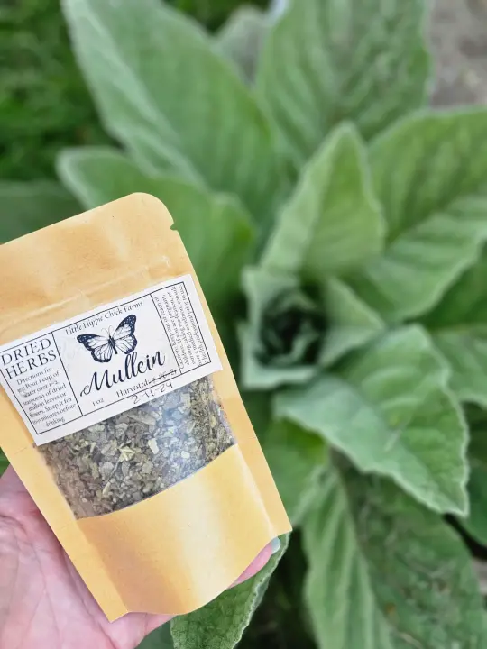 Dried Mullein Leaf