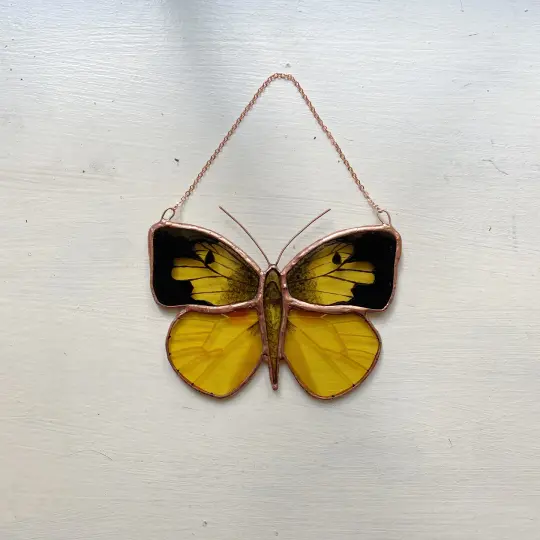 California Dogface Butterfly