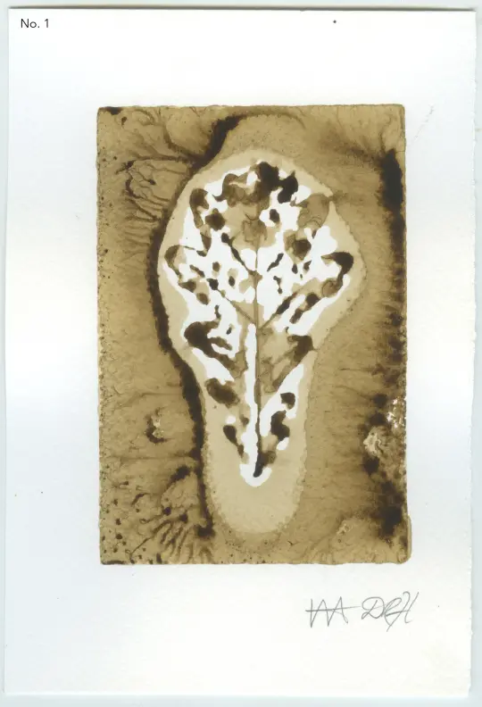 BEUYS' ACORNS Gall Ink Leaf Prints (set 2) 2025
