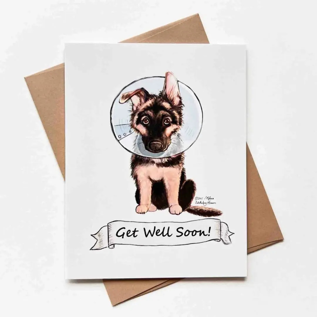 Puppy Get Well Card, Wholesale 6 Pack