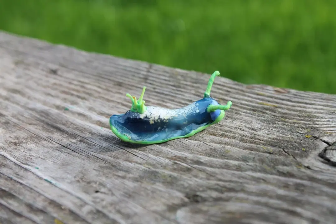 Turquoise Green Sea Slug Figurine – Glass Ocean Art Creature