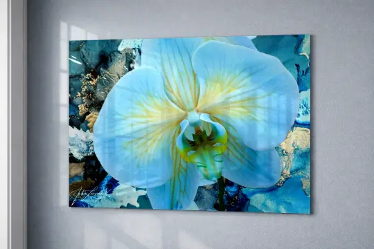 Blue Orchid Fantasy | Acrylic Glass Wall Art