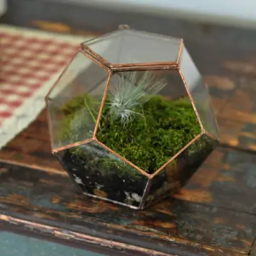 Universe Terrarium Kit, hinged