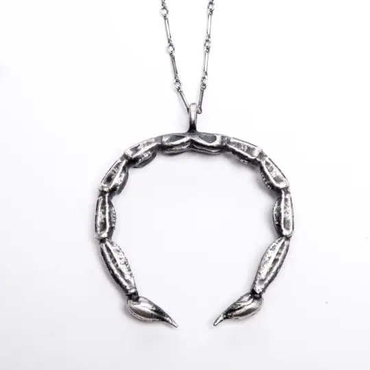 The Scorpion Cures the Scorpion Necklace