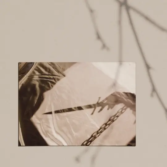 Shadowplay III Giclee Print