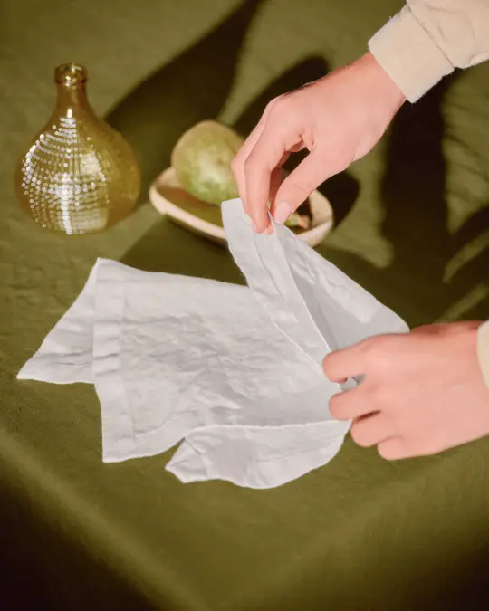 Linen Napkins Set of 2