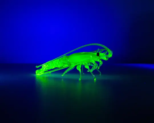 Uranium Glass Shrimp Figurine – Handblown Lampwork Miniature, UV Reactive Collectible