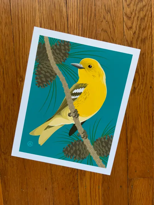 Pine Warbler 8x10 Print
