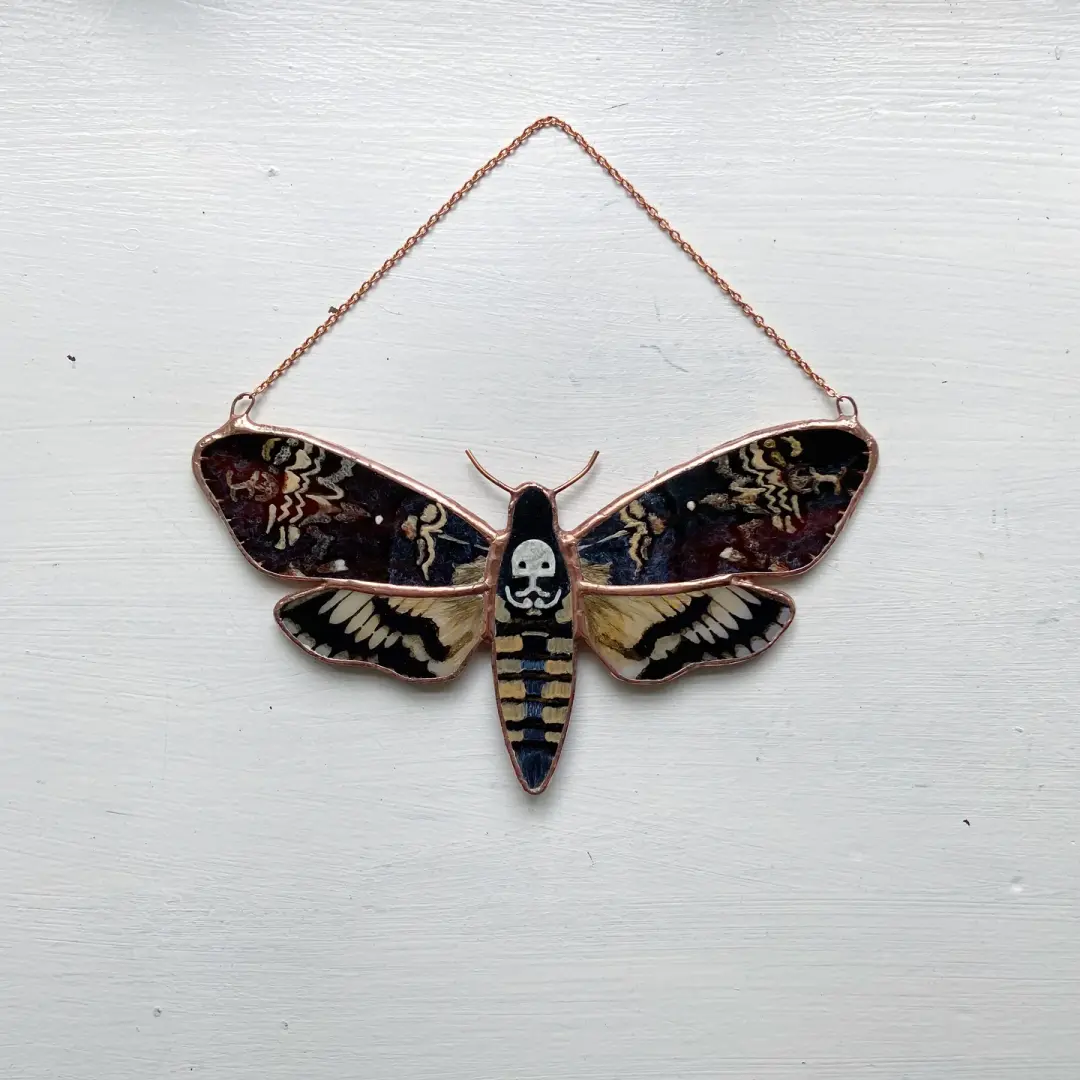 Death's Head Hawk Moth