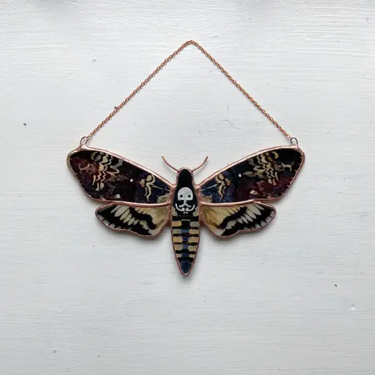 Death's Head Hawk Moth