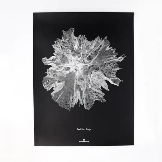 Mount Hood Topo Print
